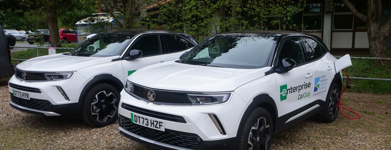 Electric Pool Cars.jpg