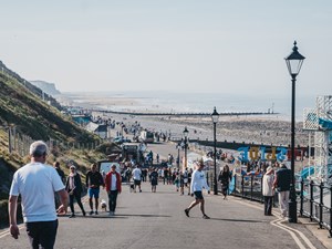 Council working with partners to offer Net Zero business advice