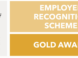 Council achieves Defence Employer Recognition Scheme Gold Award