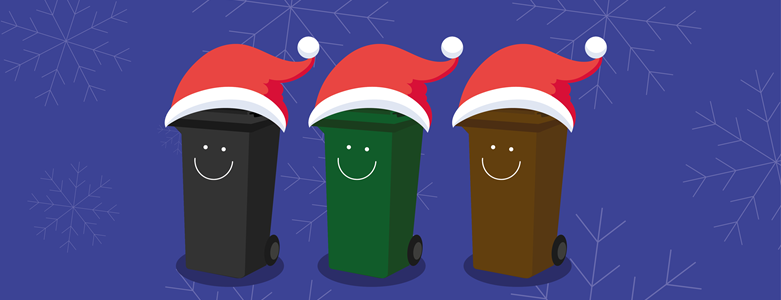 Festive Bins Collection Social Post v1.png