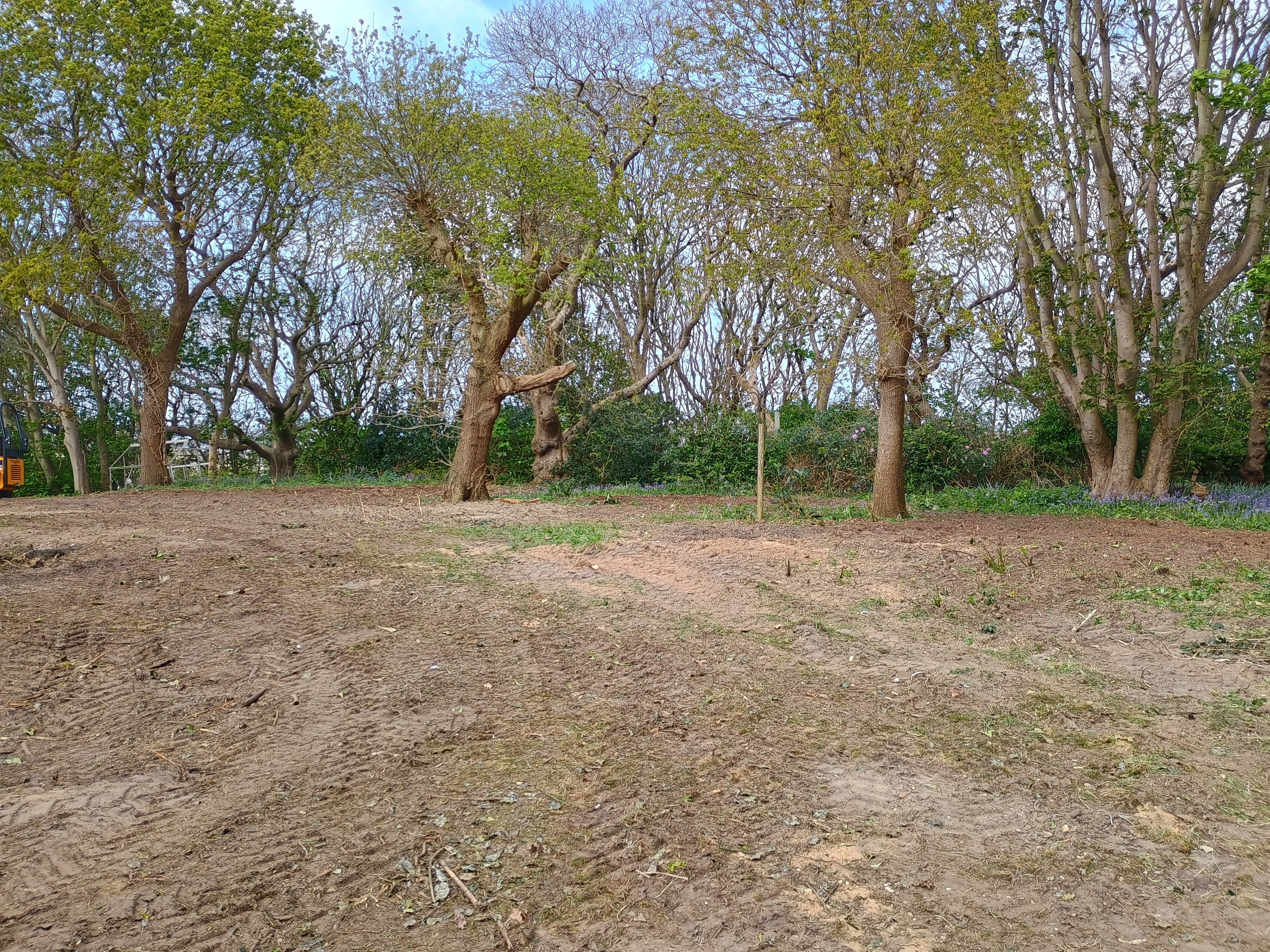 Successful prosecution for felled trees