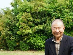 Innovative Japanese tree planting method to be introduced in Norfolk