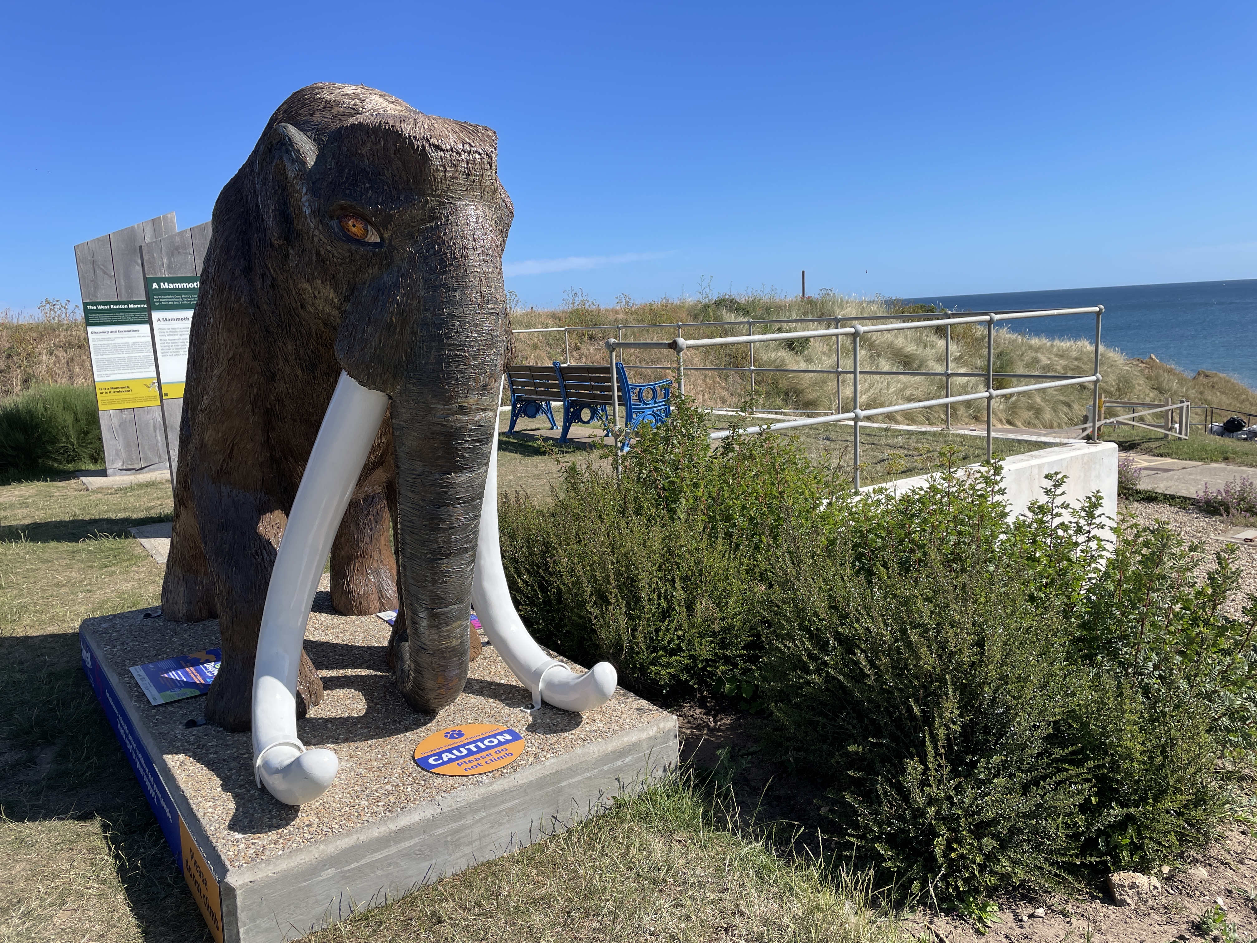 Margaret's Mammoth in West Runton