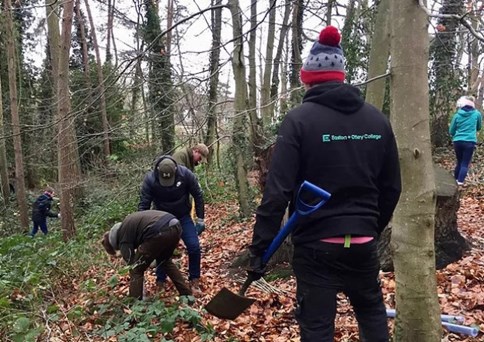 Image of a tree planting event