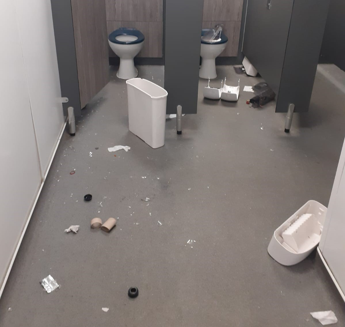 Image of vandalism to a toilet