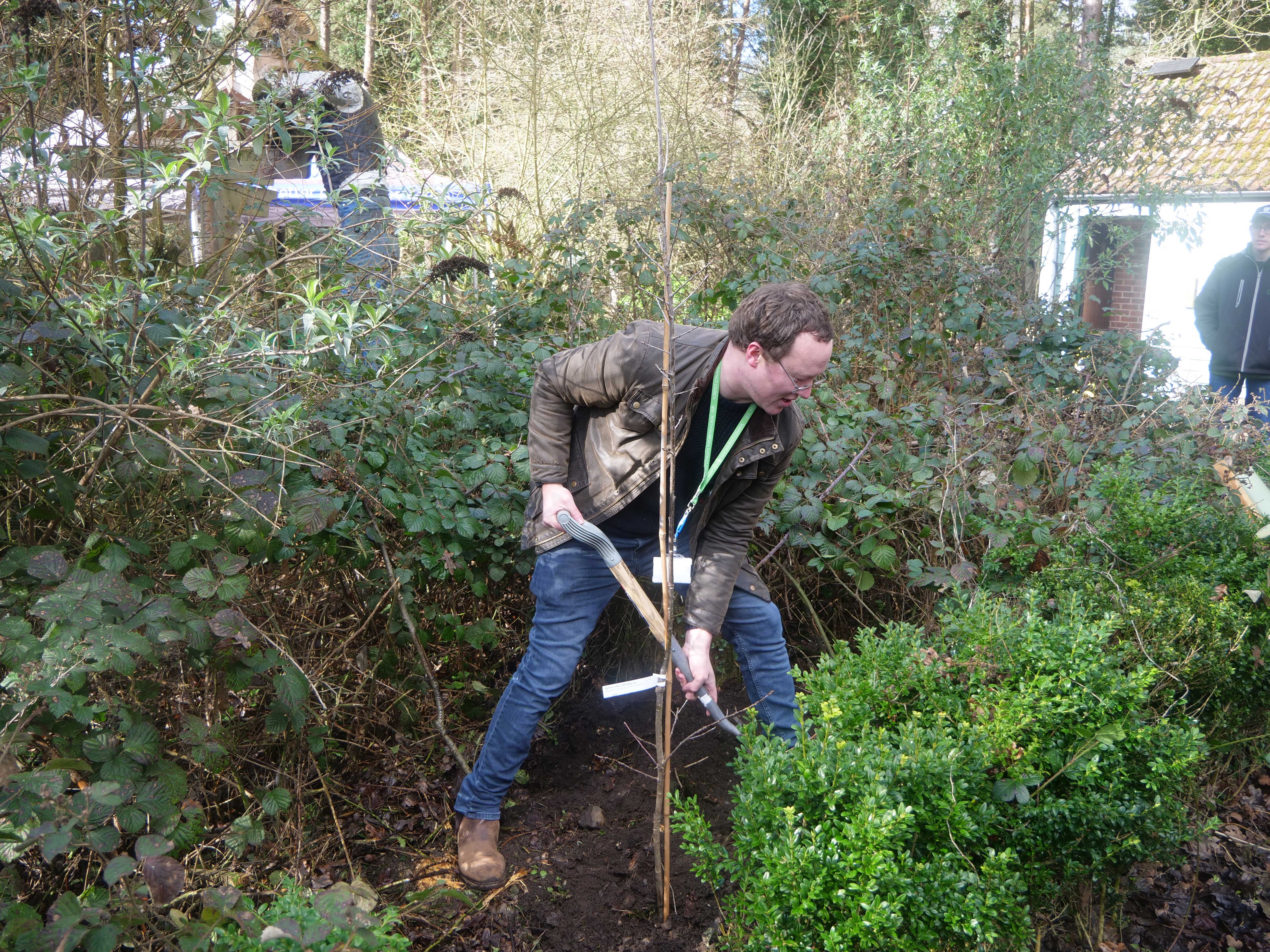 Leader of the Council Tim Adams planting the 110,000th tree